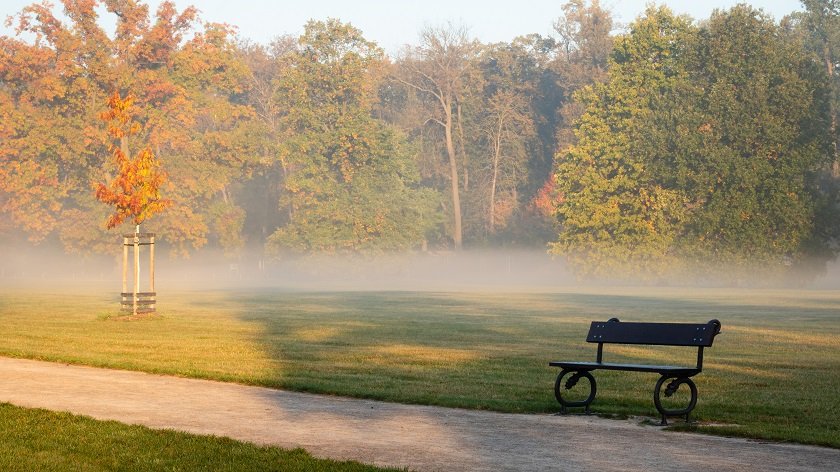 Stromovka Park in autumn