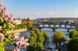 View from the Letná Park