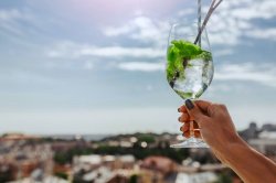 Best rooftop bars and restaurants in Prague